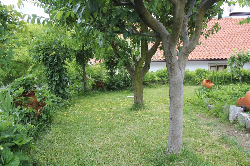 Villa Casa De Tapadeiro Resende Exterior foto